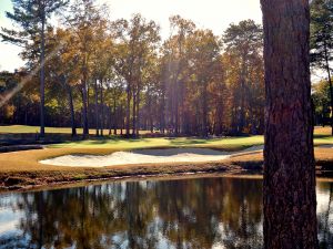 Shoal Creek 8th Tree